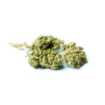 Lemon Cream Diese